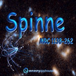 Spinne - More Digital Spiders!